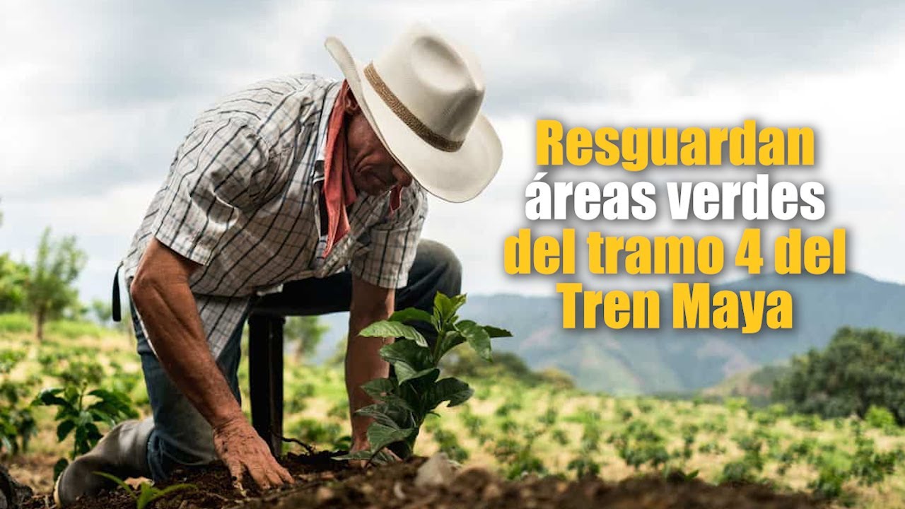 Áreas protegidas en Yucatán y ubicación