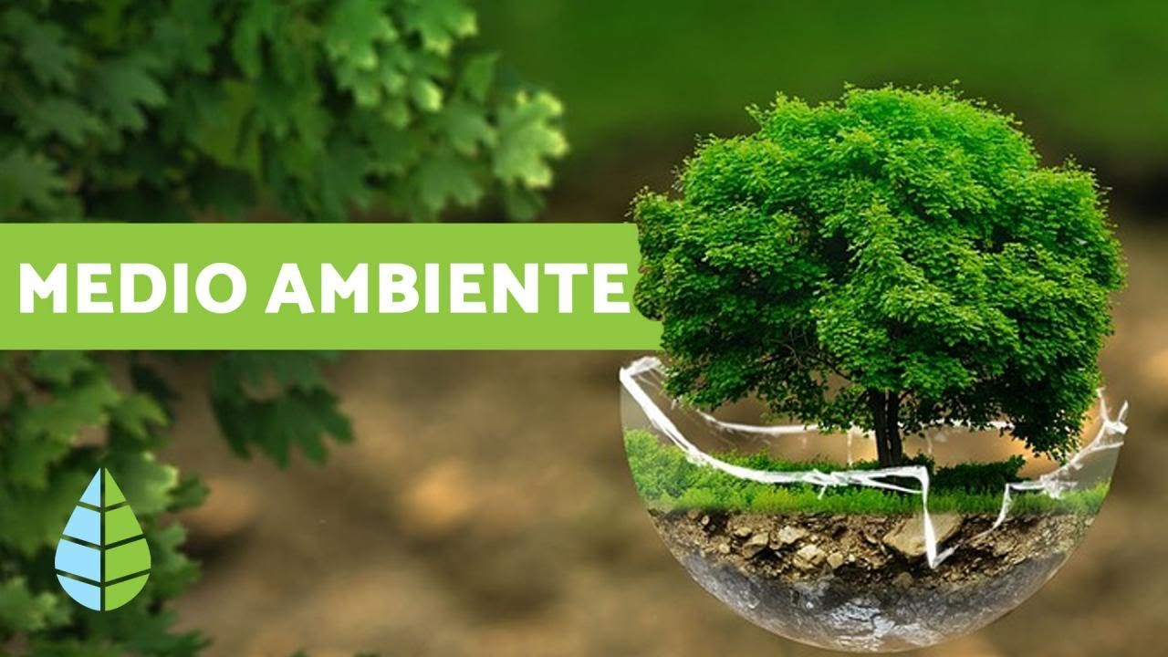 Aspectos del Medio Ambiente: ¿Qué debemos conocer?