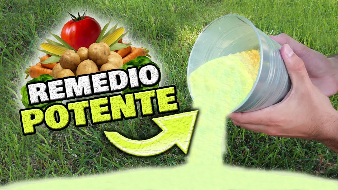 Azufre y su impacto en las plantas