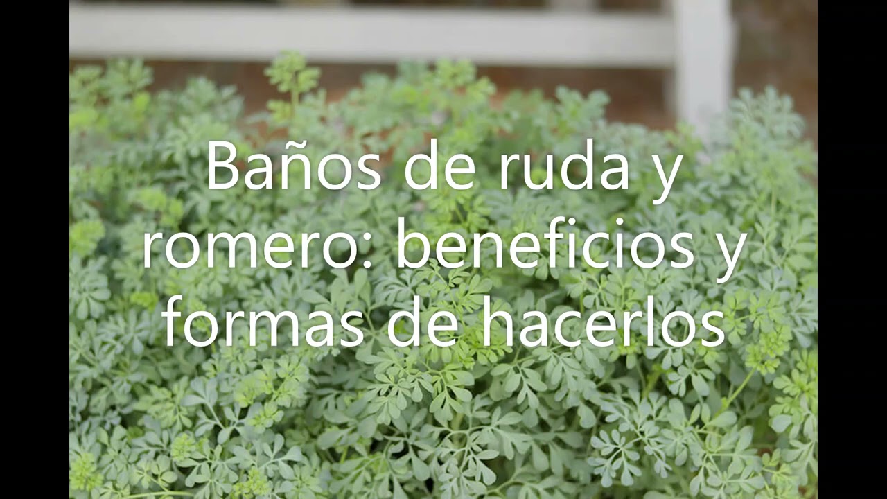 Beneficios de baños de ruda y romero
