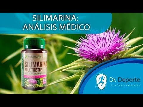 Beneficios de la silimarina y la alcachofa
