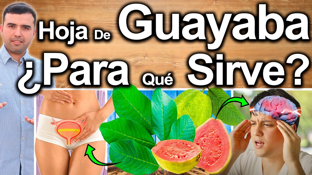 Beneficios y contraindicaciones del té de guayaba