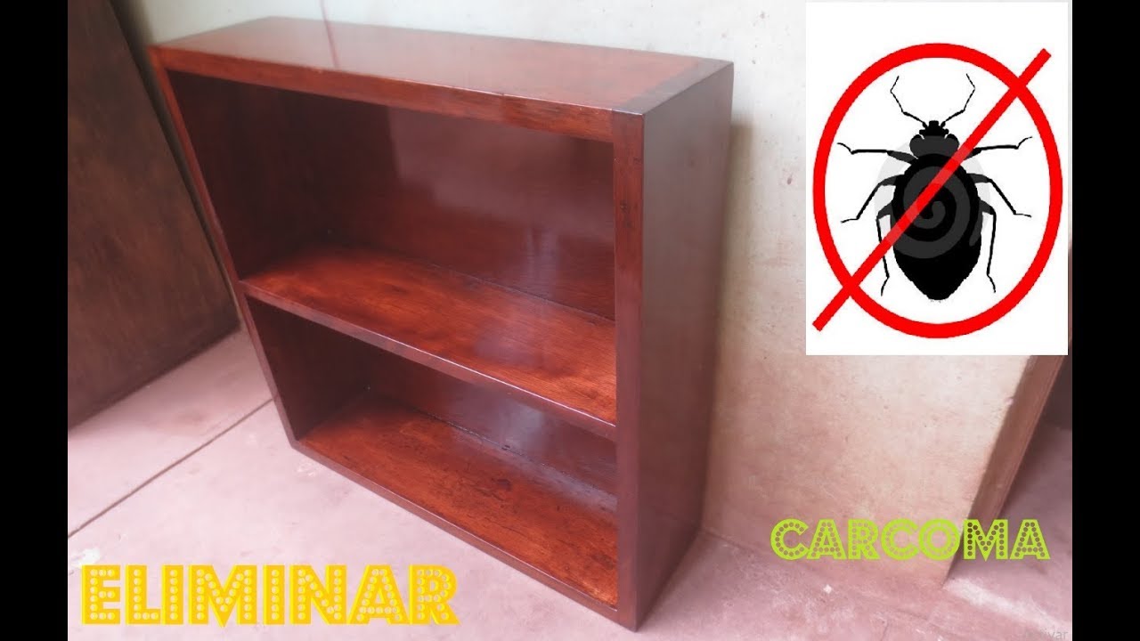 Bichos de la madera que debes evitar