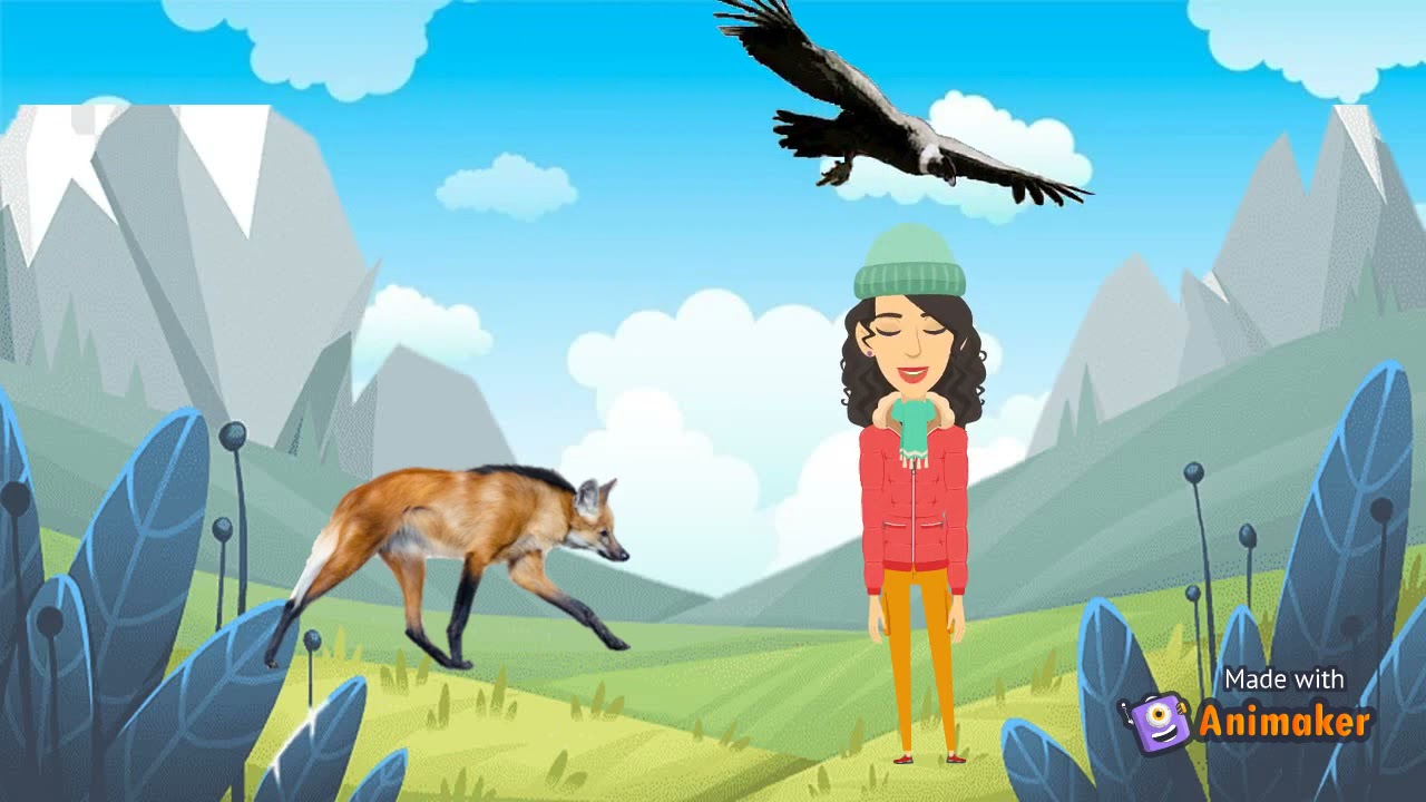 Biodiversidad en Ecuador: flora y fauna