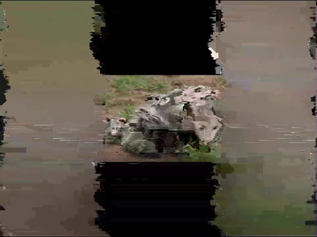 Biodiversidad en Guanajuato
