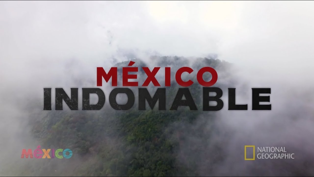 Biodiversidad en el sur de México: Flora y fauna