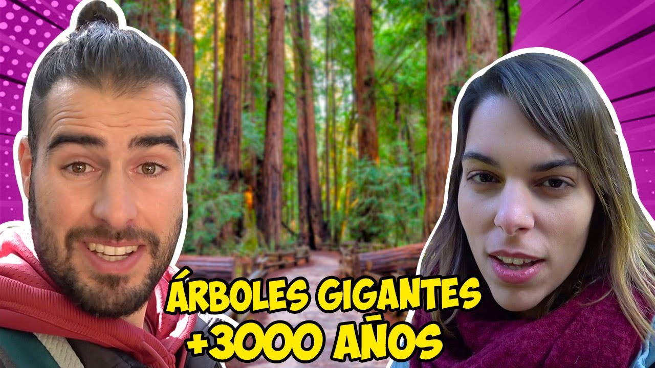 Bosque de secuoyas en San Francisco California