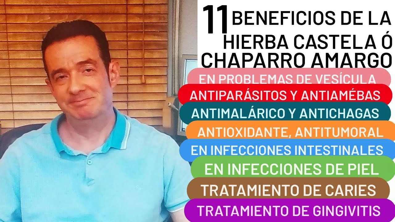 Chaparro amargo: planta medicinal