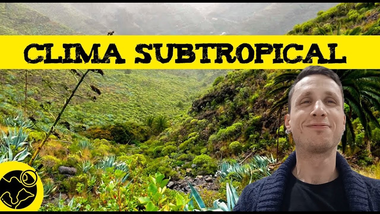 Clima cálido subtropical sin estación seca