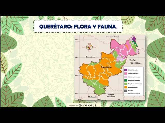 Clima flora y fauna en Querétaro