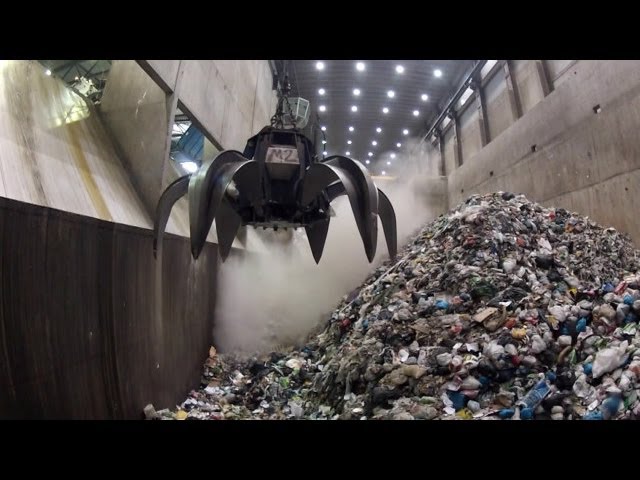 Combustible ecológico proveniente de plantas