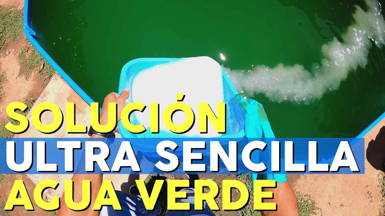 Cómo limpiar una piscina con agua verde