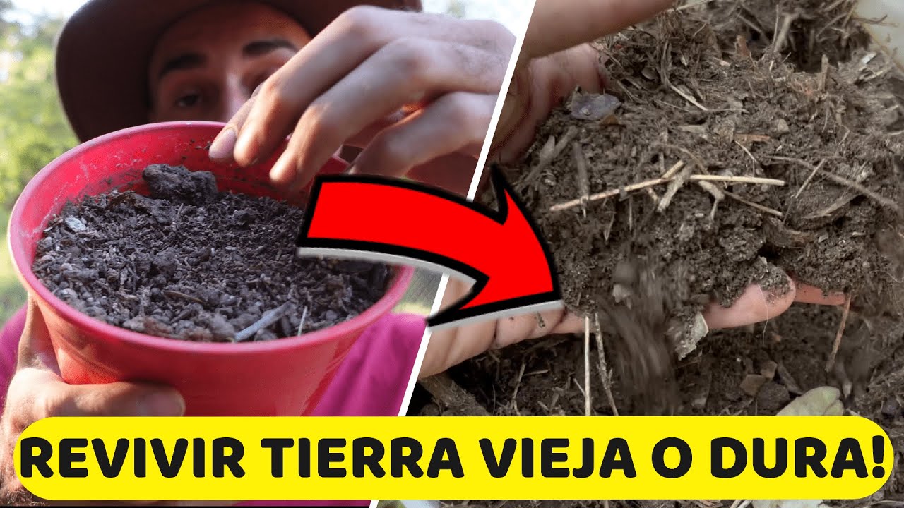 Cómo suavizar la tierra de tu jardín