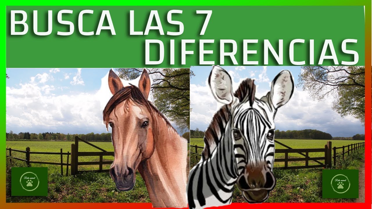 Comparativa de velocidad: caballo vs. cebra