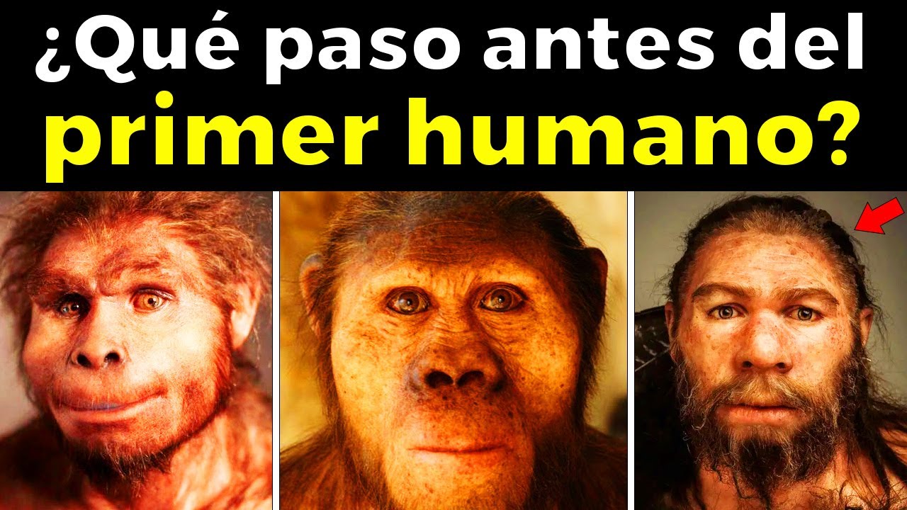 Comparativa: origen del ser humano