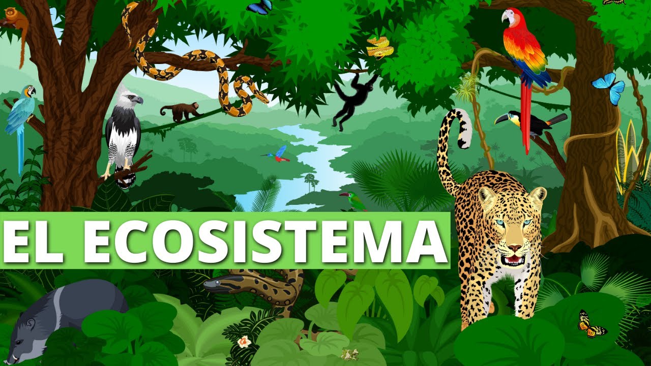 Componentes del ecosistema en Yucatán