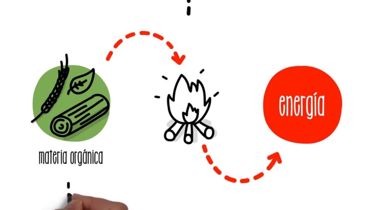 Concepto y obtención de la bioenergía