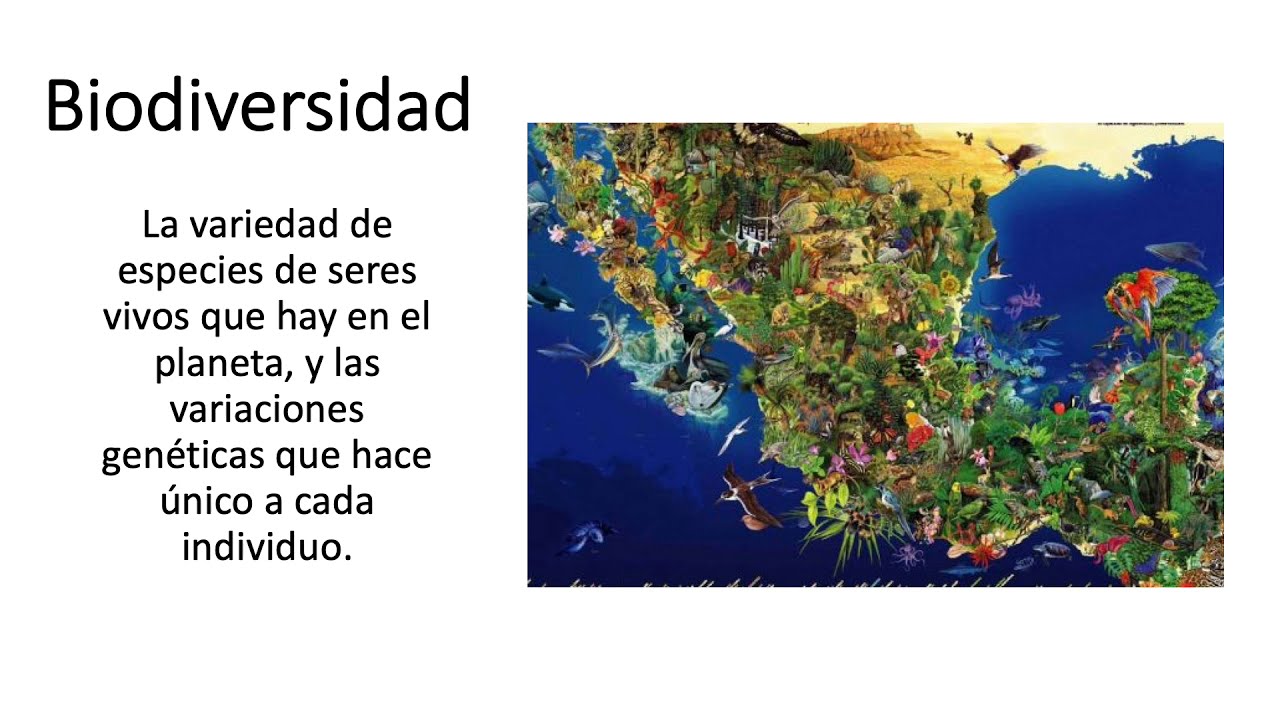 Condiciones naturales que favorecen la biodiversidad