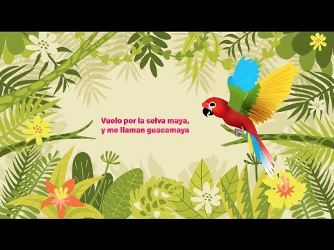 Conoce cómo se desplaza la guacamaya roja