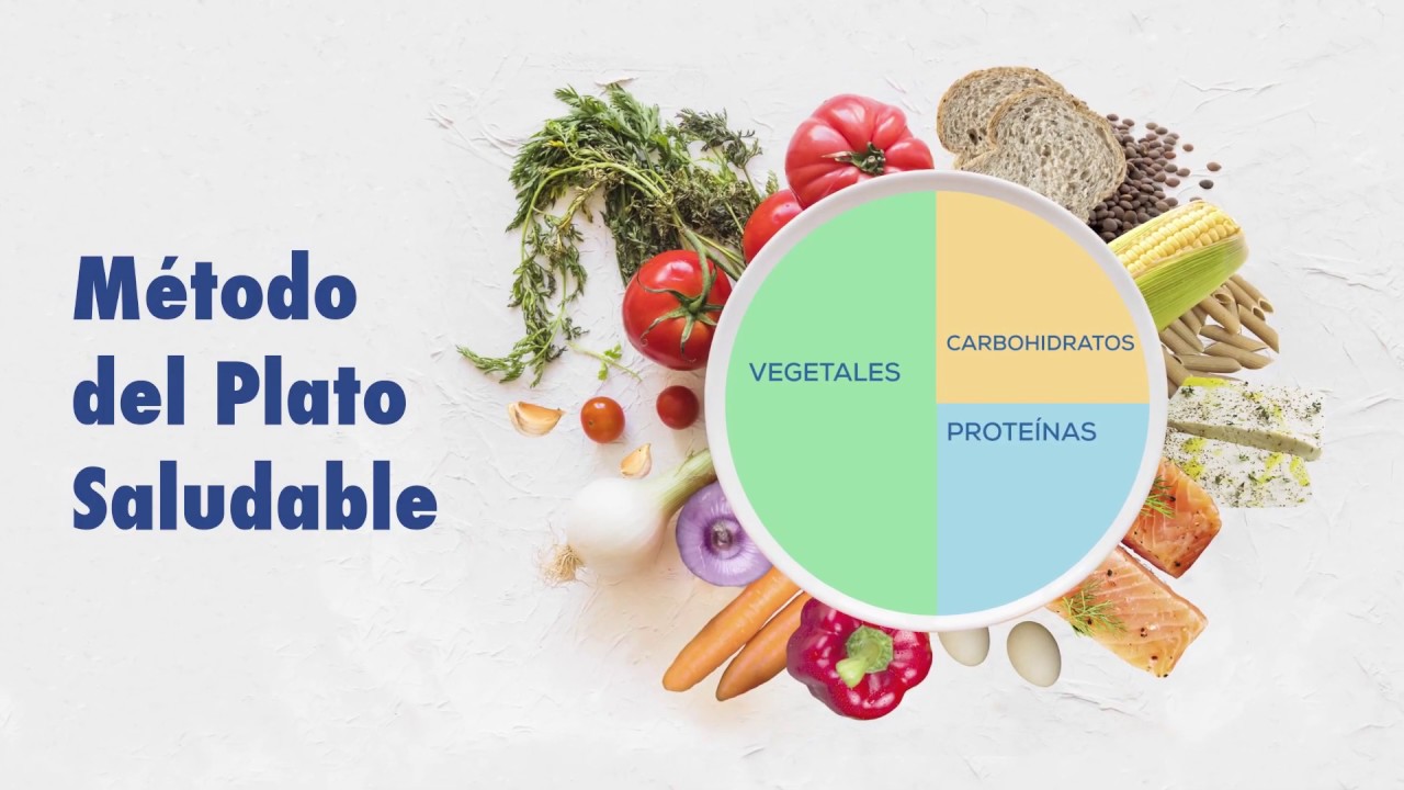 Conoce y equilibra tu dieta con el plato del buen comer