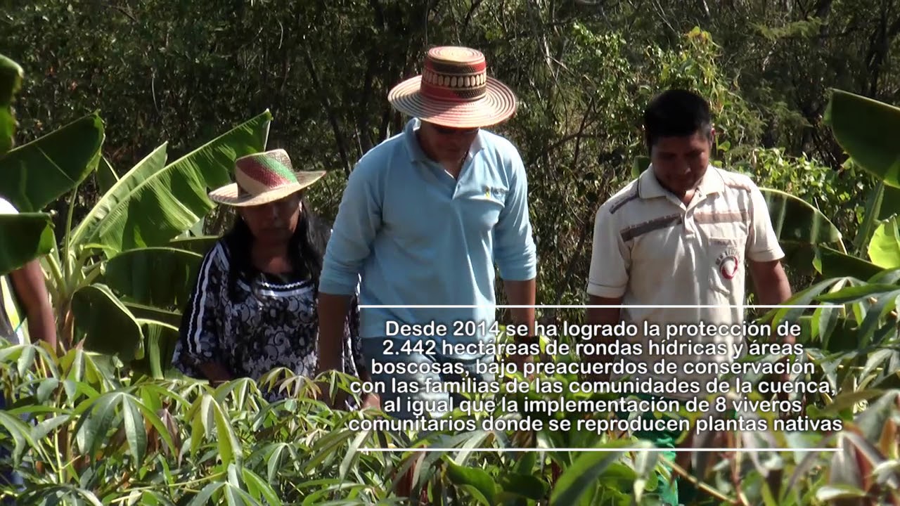 Conservación de cuerpos de agua