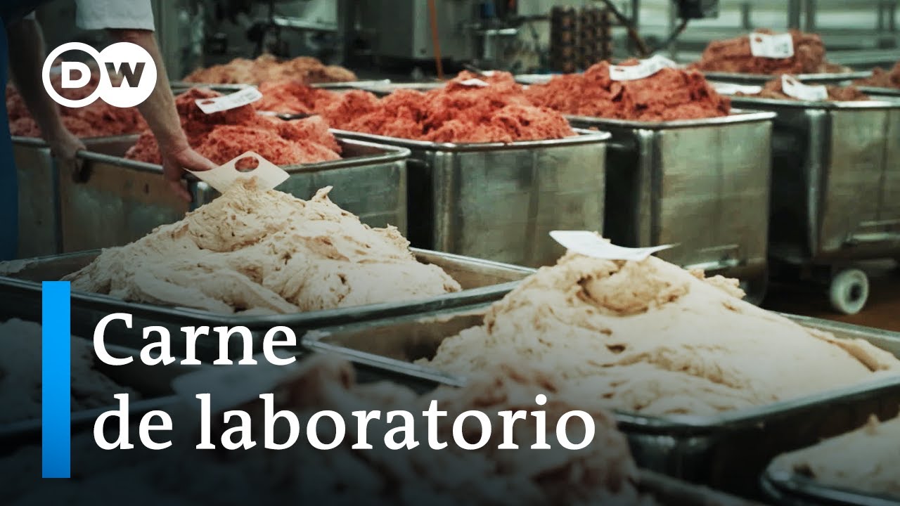 Consumo de carne de elefante y su impacto