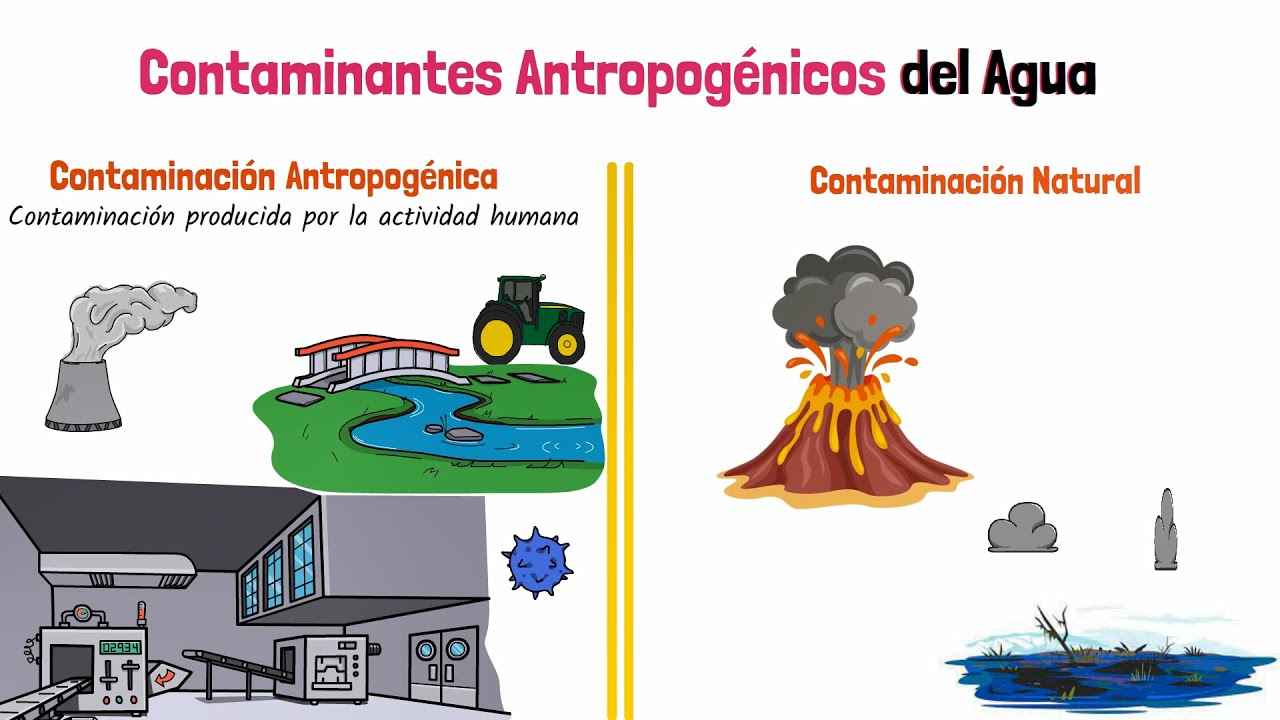 Contaminantes del suelo: físicos químicos y biológicos