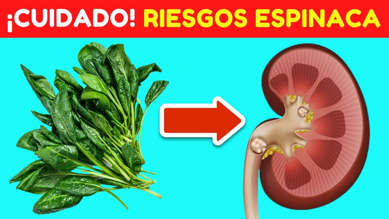 Contraindicaciones de la espinaca