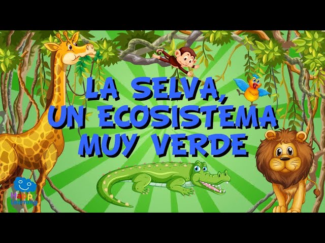 Curiosas actividades de animales en la selva