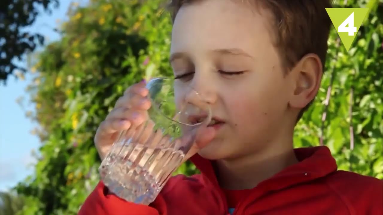 Datos curiosos sobre el agua que te sorprenderán
