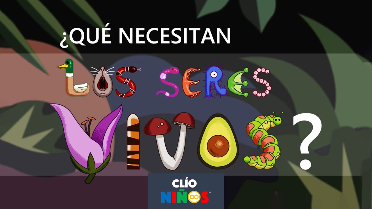 Derechos de los seres vivos: ¿Qué debemos saber?