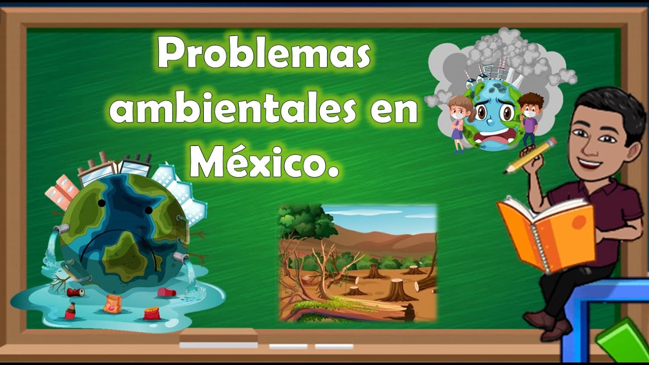 Desafíos ambientales en las costas mexicanas