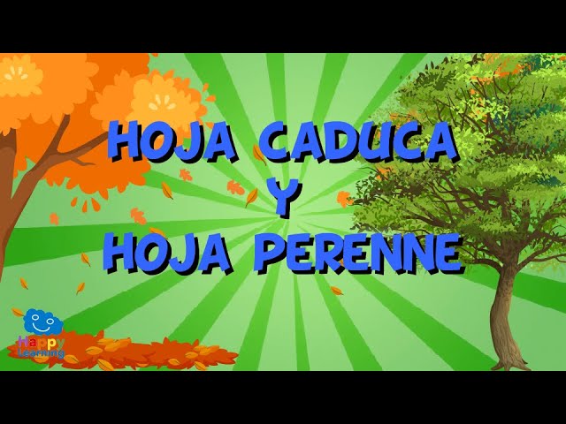 Descubre el árbol con hojas de 5 puntas y su particularidad