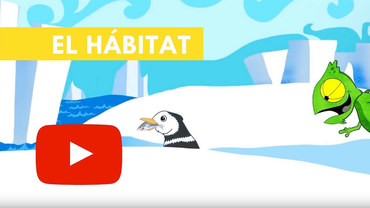 Descubre el hábitat de las aves