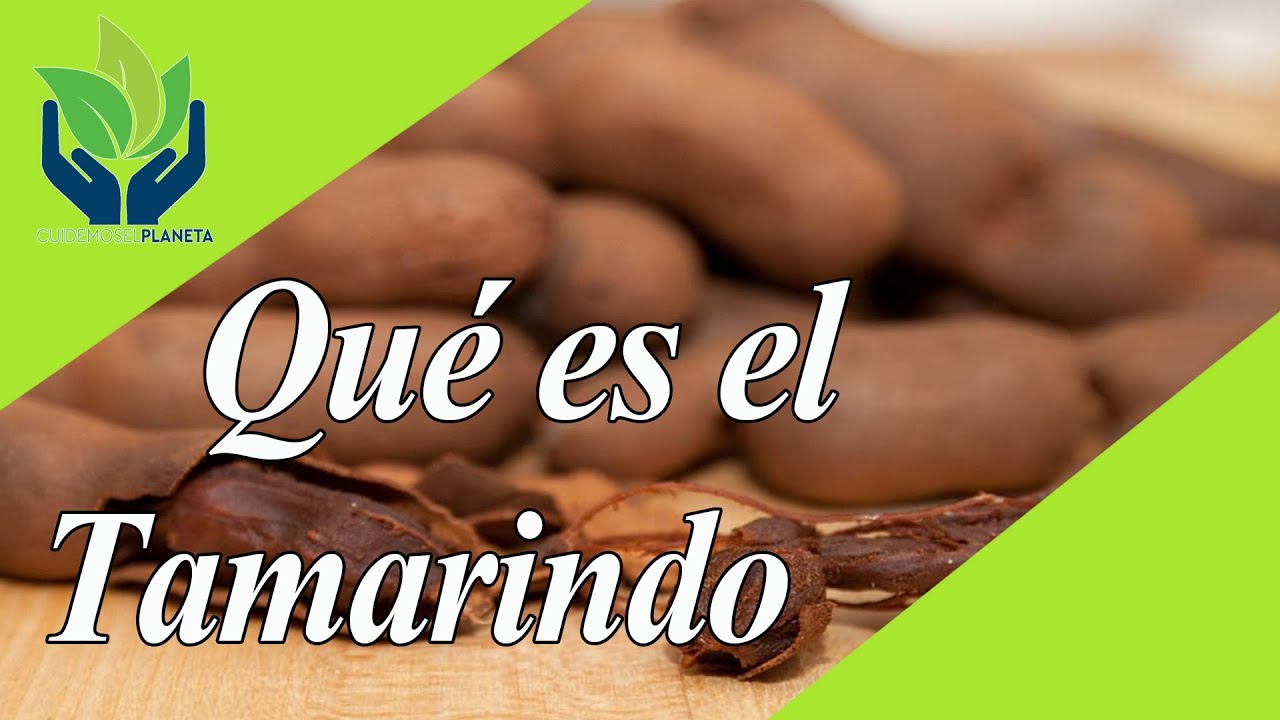 Descubre la planta del tamarindo