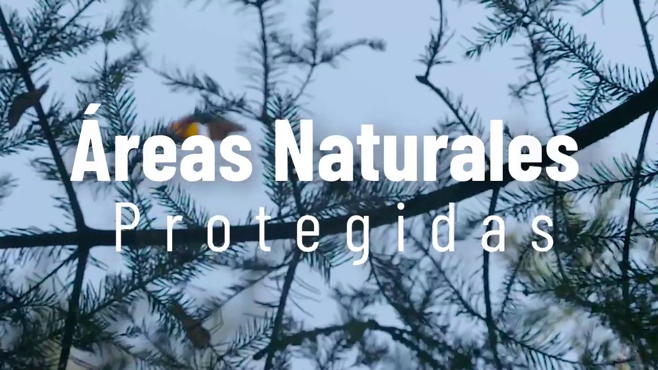 Descubre los santuarios de áreas naturales protegidas en México