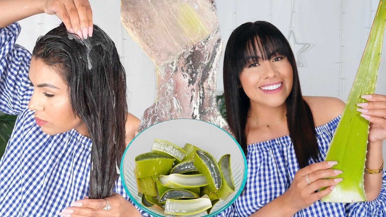 Descubre los usos de la sábila para el cabello