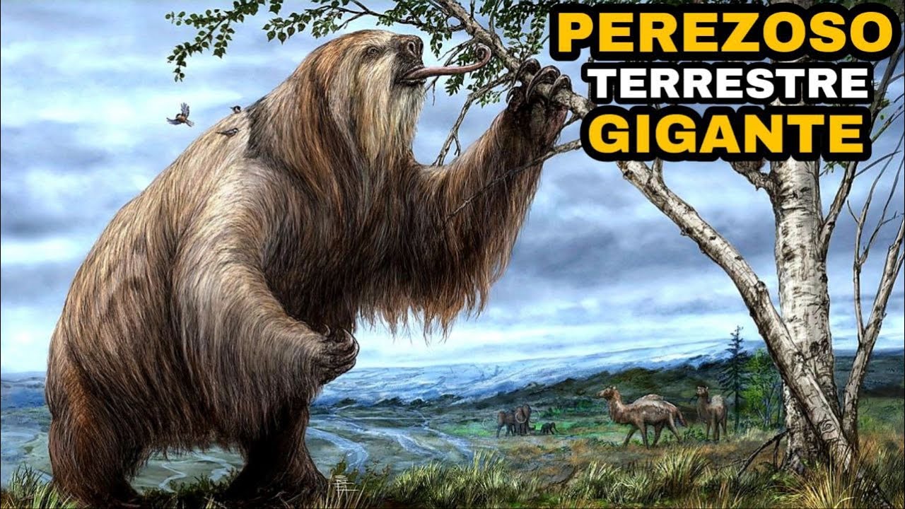 Descubriendo al perezoso gigante prehistórico de más de 6 metros