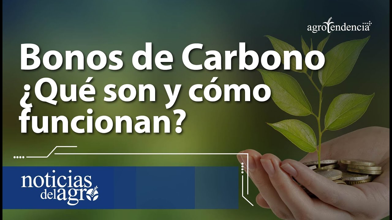Desventajas de los bonos de carbono