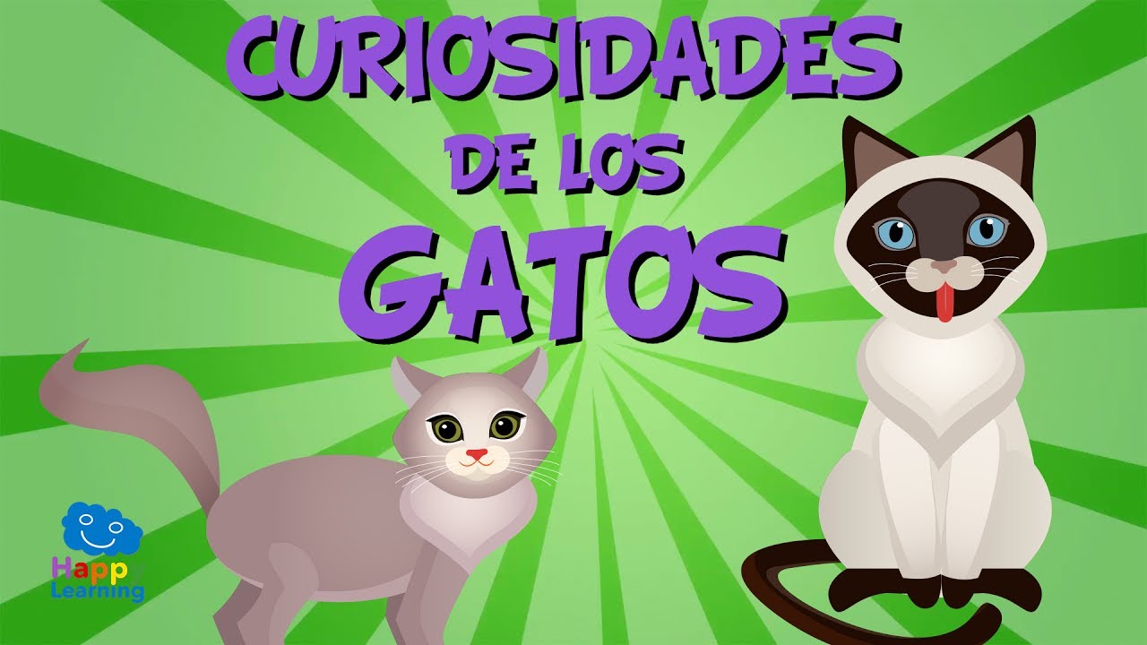 Dónde viven los gatos: información para niños