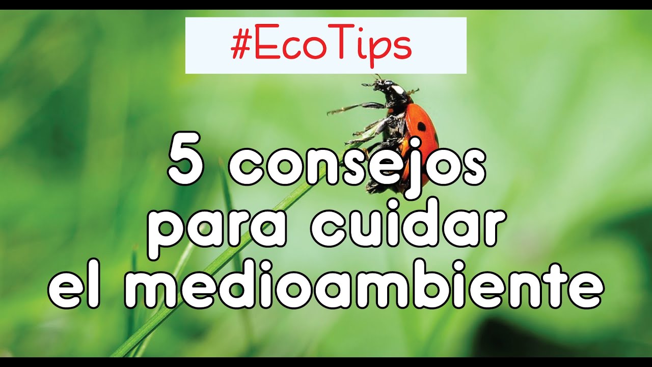Eco tips para proteger el medio ambiente