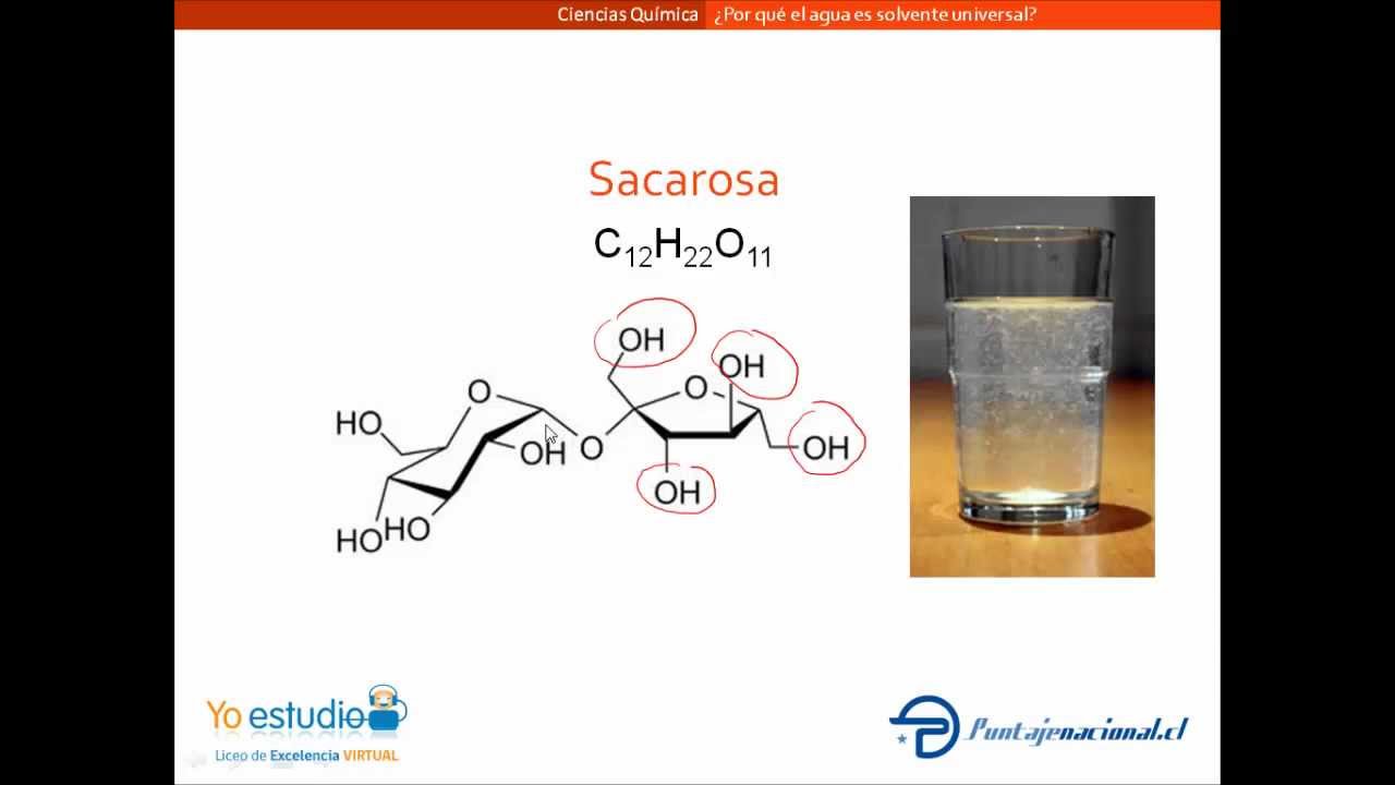 El Agua: el Solvente Universal