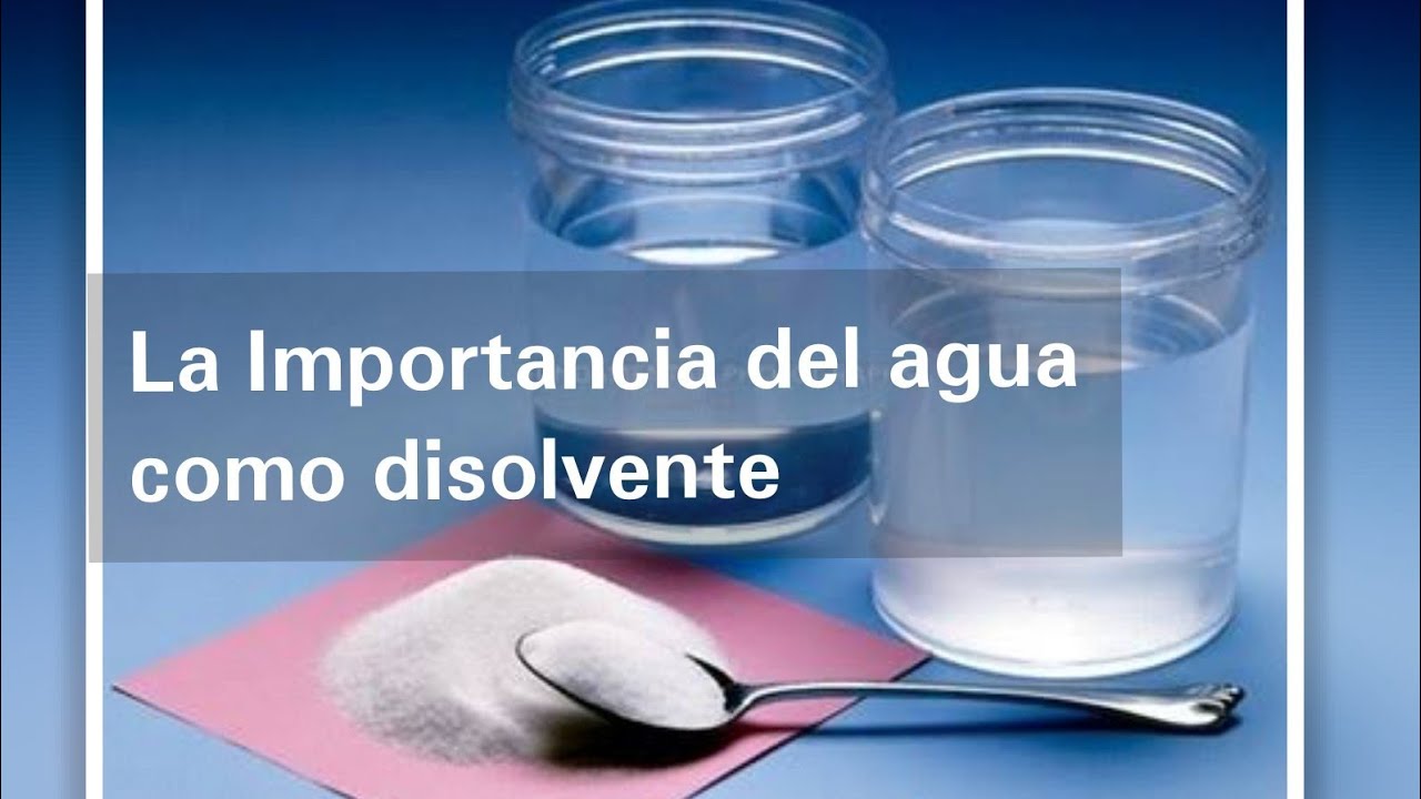 El agua un solvente fundamental en quinto grado