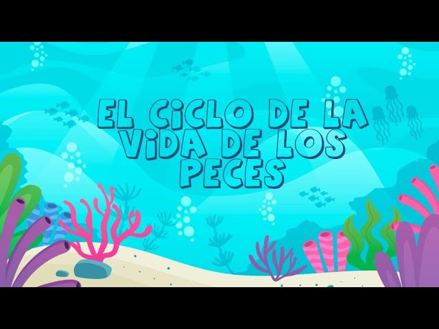 El ciclo de vida de un pez: ¿Qué etapas atraviesa?