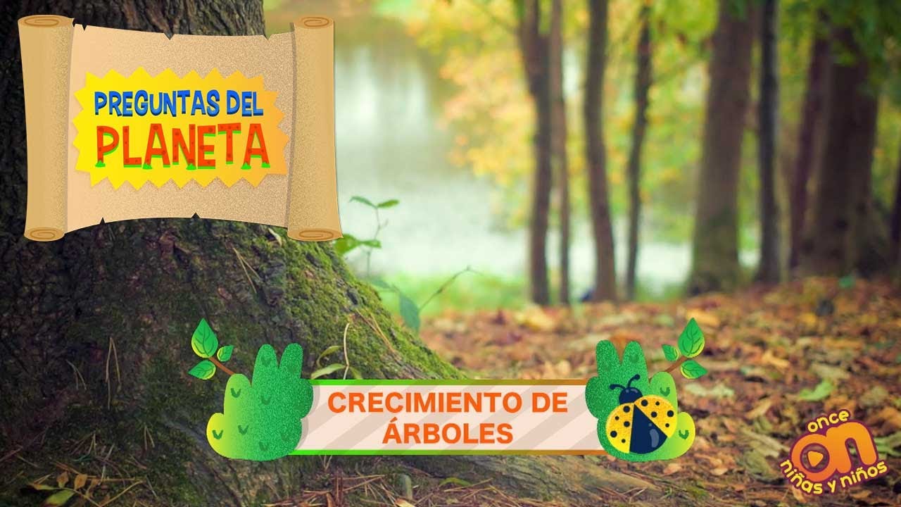 El crecimiento de un árbol explicado para niños
