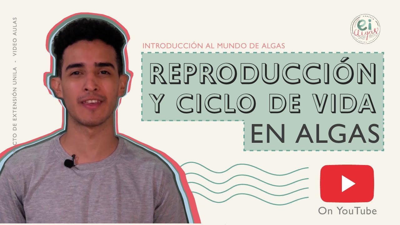 El fascinante ciclo de vida de las algas
