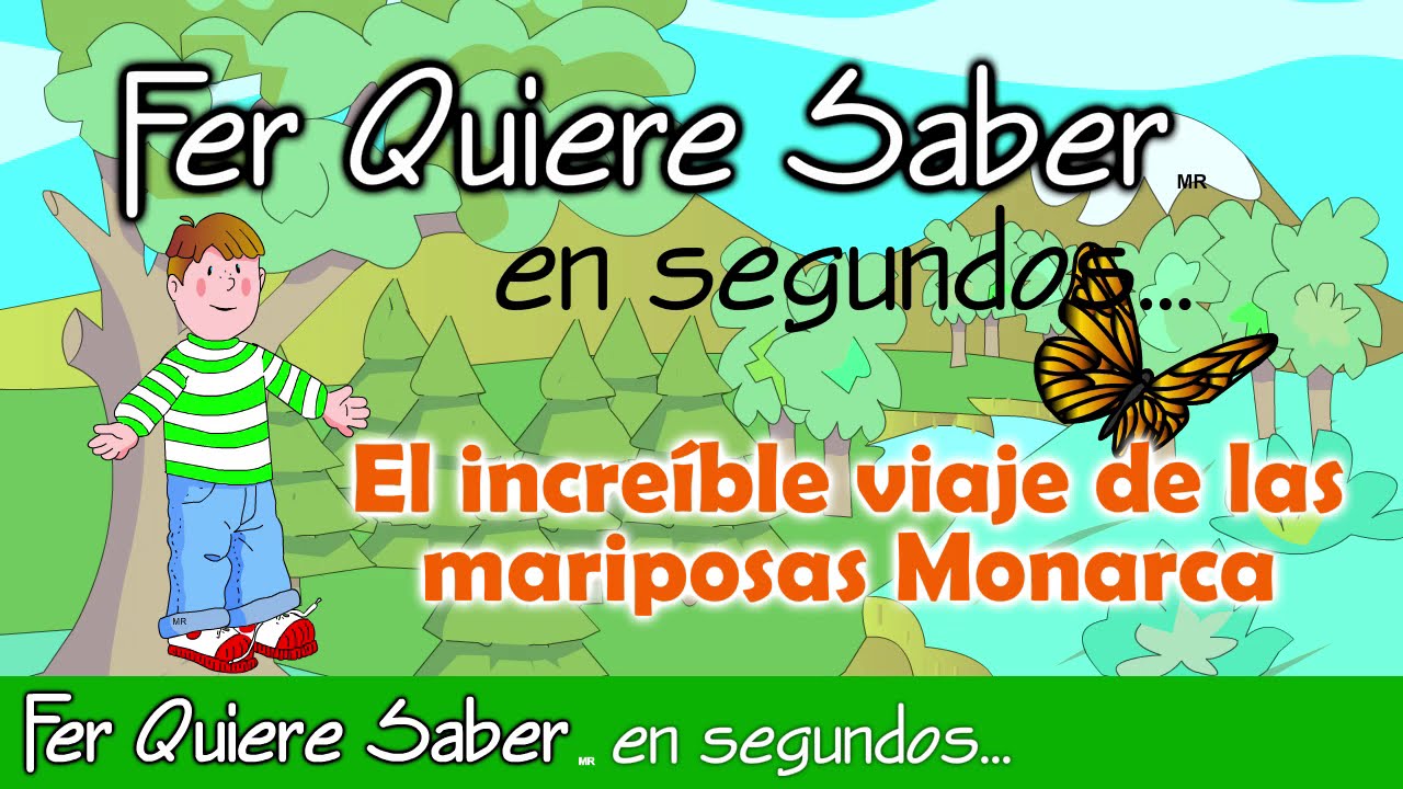 El fascinante viaje de la mariposa monarca