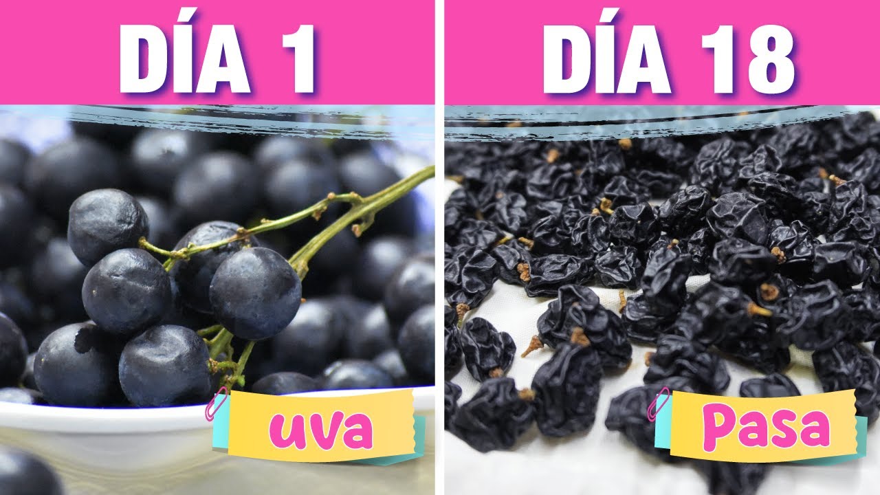 El origen de las pasas de uva
