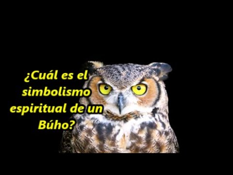 El simbolismo detrás de la visita de un búho