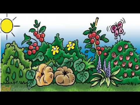 Elementos naturales del Estado de México